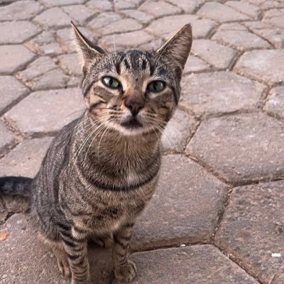 oliv26139's profile picture. 