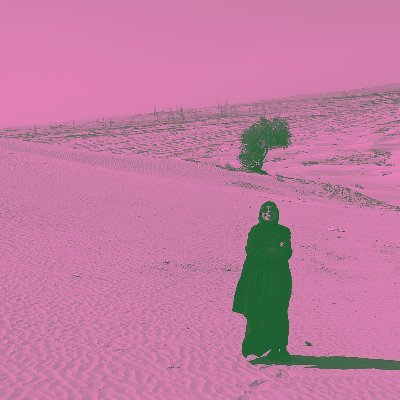 karinayara's profile picture. SuperMom!!!