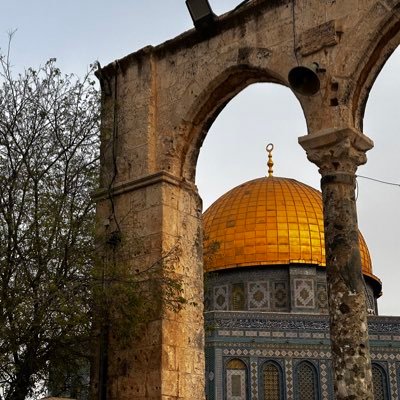 Ahm103_'s profile picture. 🇵🇸Free Palestine 📚Read books ☕️Drink tea/coffee Repeat