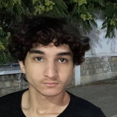 ayoub_diaeddin's profile picture. 