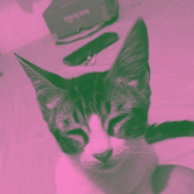 beeerbitch's profile picture. HELLOWW FROM THE OTHER SIDEEE~~~