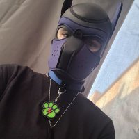 AB/Pupcaz (@pupcazor) 's Twitter Profile