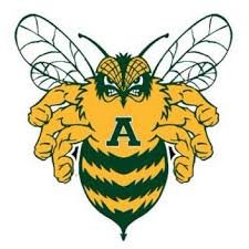 Academy Bumblebee Football Profile
