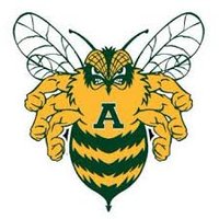 Academy Bumblebee Football (@academybeefb) 's Twitter Profile Photo