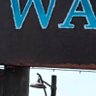 TustinRaider's profile picture. #SaveWaterworld, Explorer, Adventurer, LA Kings Fan, Theme Park update guy, Cosplayer, genuinely likes the Avatar films, Humorist, Satirist, etc.