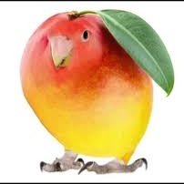 cadu627e's profile picture. 