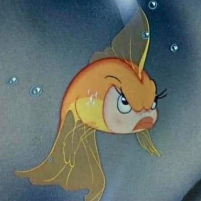 Lemmytelliu's profile picture. mientras uno esta vivo, uno debe amar lo mas que pueda