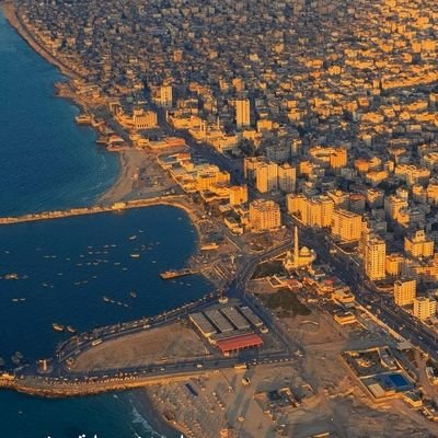 BTb4231905's profile picture. شخص يحب دينه ويكره كل ماهو صهيوني أو متصهين 
غزة _ فلسطين 🇵🇸.