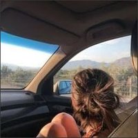 LizPeacock (@u86a7nh873p3v) 's Twitter Profile