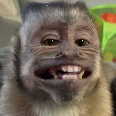 organizeseucaos's profile picture. 