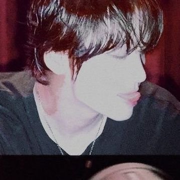 pdd_haechan's profile picture. 🐻🐰🦊