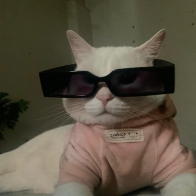 LAWYER88920's profile picture. 