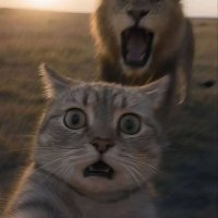 Λυκομάχος (@memecoinz2) 's Twitter Profile