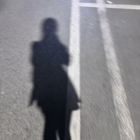 PearlHarrod (@e7f23ri3sl804) 's Twitter Profile