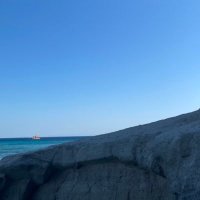 cryptojew (ngbt/acc) 🥷🍑 (@bluecapit1) 's Twitter Profile