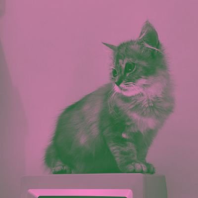 thiekus's profile picture. Another IT geek who loves doing unusual things
Free 🇵🇸