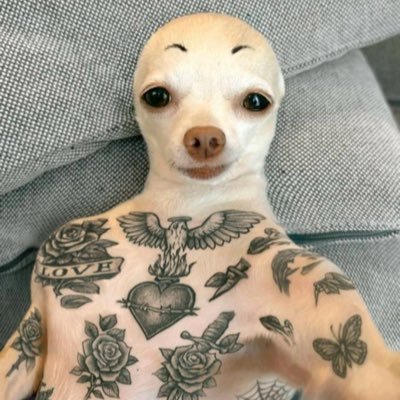 darnitvictor's profile picture. the good ol days are right now