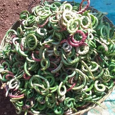 EmenikeAgbo's profile picture. 