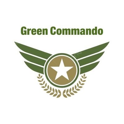 Special counter-terrorism operations, reconnaissance, and infiltration within Taliban insurgent networks.