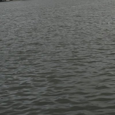 whatevtfidc's profile picture. mujhe bas sona hai