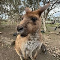 Aiden (@a1denk1ng) 's Twitter Profile