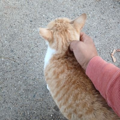 🎸🥊🌎🌱🍵🪶🌈🇺🇸✌️🙏 don't want your content🙄, only friendship, be honorable, if not, bye.