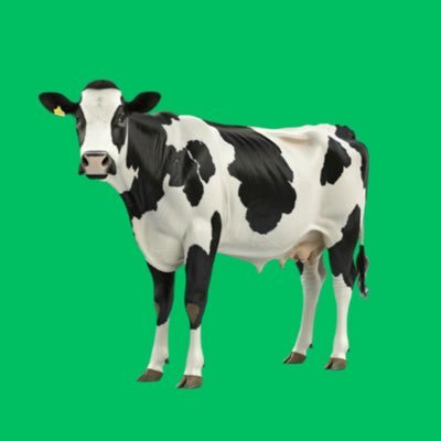 LennyFanxd's profile picture. Just a lenny boy