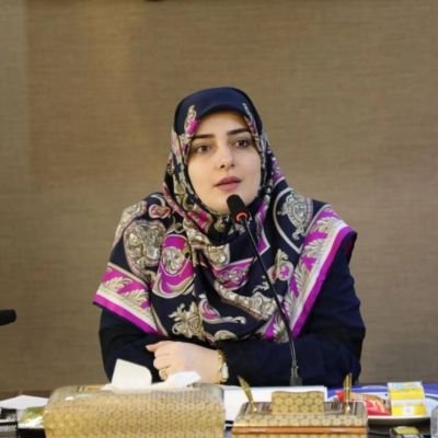 🎓معاون مطالعات کاربردی دفتر هیئت دولت
✒️جامعه شناسی خواندهای که از تحولات جامعه ایران و امکان توسعه آن مینویسد.