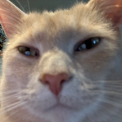 Dinkle_B0tt0m's profile picture. 