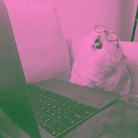 ᵖᵉʲᵘᵃⁿᵍ ᵈᵘⁱᵗ 💸 (@oweorangjava) 's Twitter Profile