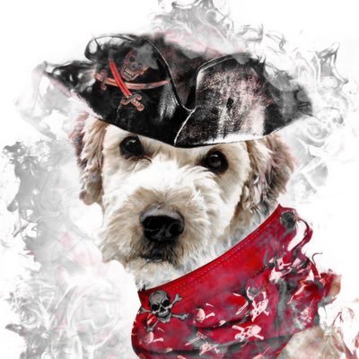 Wheaten terrier rescue specializing in excessive barking & UPS zombies 📦; continuing the legacy of Shay🌈 & SHREK💚🐾 #ZSHQ General🌎 #PalsPorch @PalsPorch