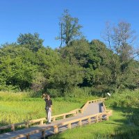 自然お出かけプラン🌿 (@nature_odkplan) 's Twitter Profile
