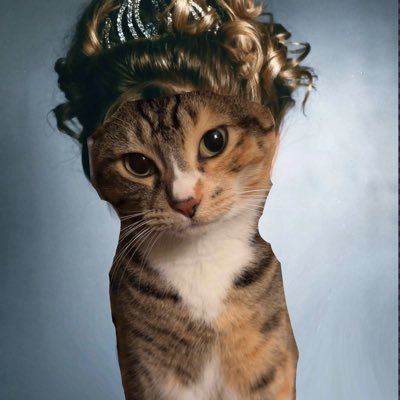 NeonSlowpoke's profile picture. Perpetual Nap Needer 🏳️‍🌈 Any pronouns