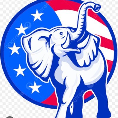 goppeoplesumner's profile picture. 