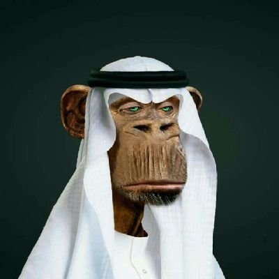 alee5420's profile picture. On-chain where it matters. Off-grid where it counts.