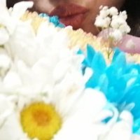 π (@gituyicam) 's Twitter Profile