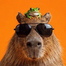 The latest memecoin from a chilled capybara 0x34cE7B4C1664A63bE6335DA0dd941dbBBF9acd32