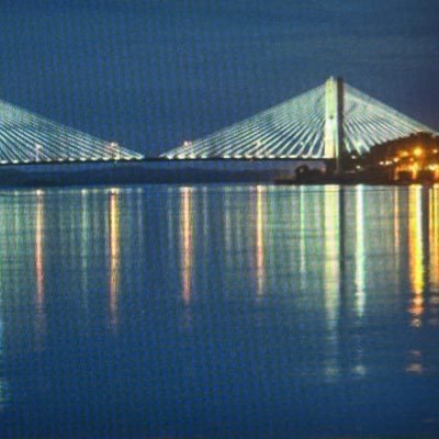 INDICGMO's profile picture. 