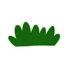Tanuki_omnivore's profile picture. 🇺🇸4年目