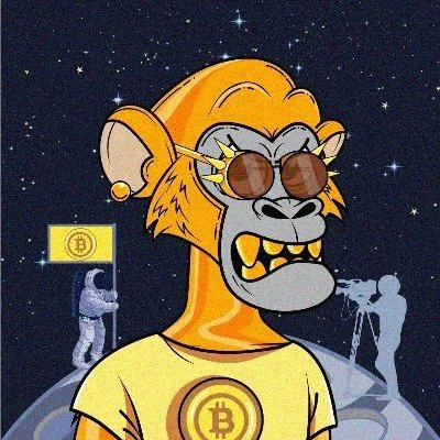 reshinako1985's profile picture. Empowered women empower women.