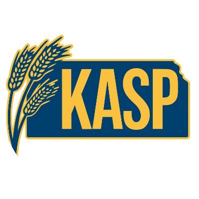 KASP visibly leads in promoting proactive, research-based practices and partnerships which foster the academic and psychological well-being of children...