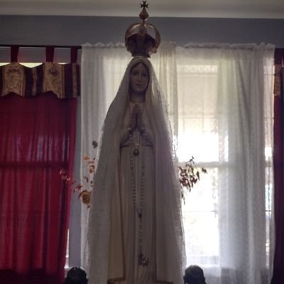 Traditional Latin Mass Catholic. Widower. Pure blood. Will not take the death vaccine. Anti-vaxxer completely now. CMRI.