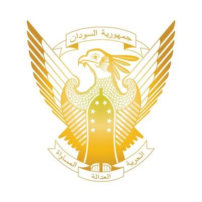 SaadAsad492528's profile picture. 