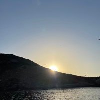 Dam’s (@damienbeyl) 's Twitter Profile