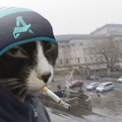 xakavirskingdom's profile picture. @AuroraCS2_GG
@eternalfiregg
