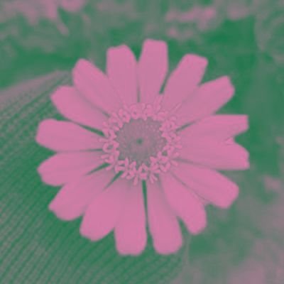 ilyjoshuapsycho's profile picture. tutorial on how to date josh washington