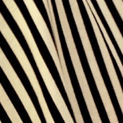 shirasu48's profile picture. 気が向いたときに