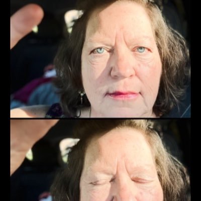 wildlife photographer🇺🇸 🇨🇦 USAF Veteran/teacher/artist/actor/singer/lasers on the A10 🐗 Warthog 🎯 #EleanorsTreats 🥧 🧁