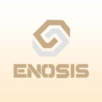 Nikita Shasherin, professional cs2 player igl for @EnosisCR