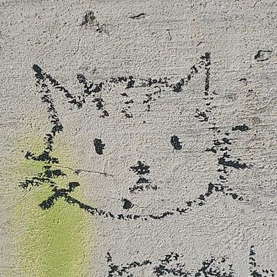 mature4urage's profile picture. 22. cooles(tgirl)ever. online child therapist.